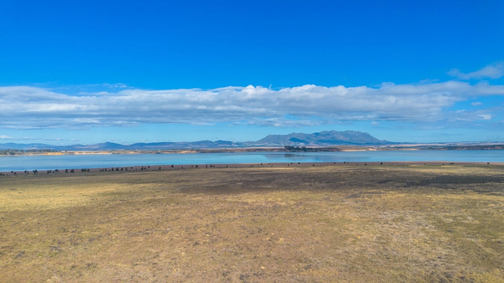 Smallholding sold in Gouda - TK1696848