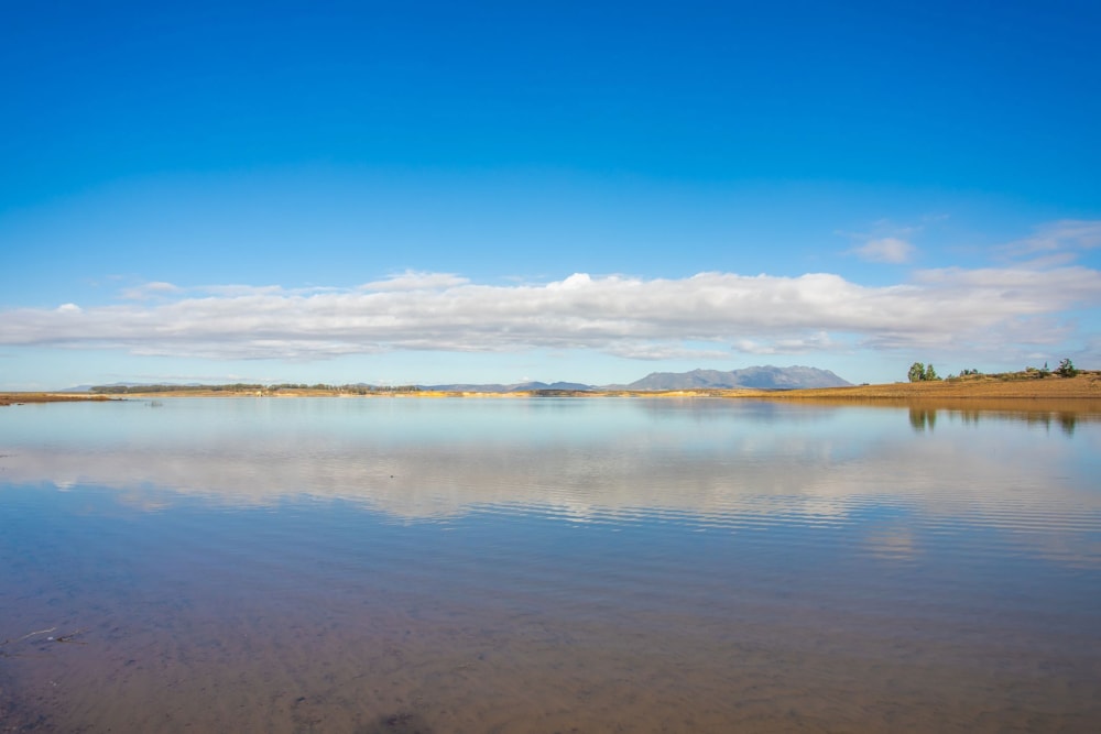 Smallholding sold in Gouda - TK1696848