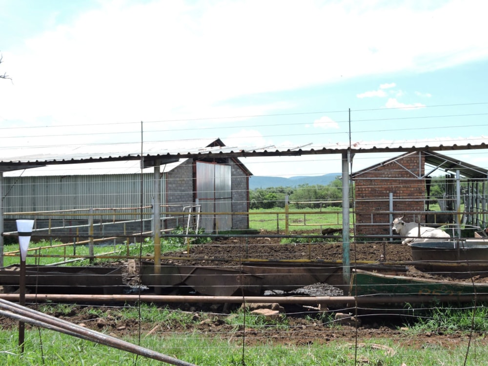 Game farm for sale in Groot Marico - 1RU1696936 Game farm for sale in Groot Marico - 1RU1696936