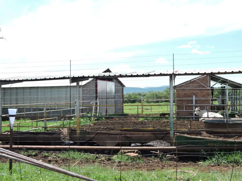 Game farm for sale in Groot Marico - 1RU1696936 Game farm for sale in Groot Marico - 1RU1696936