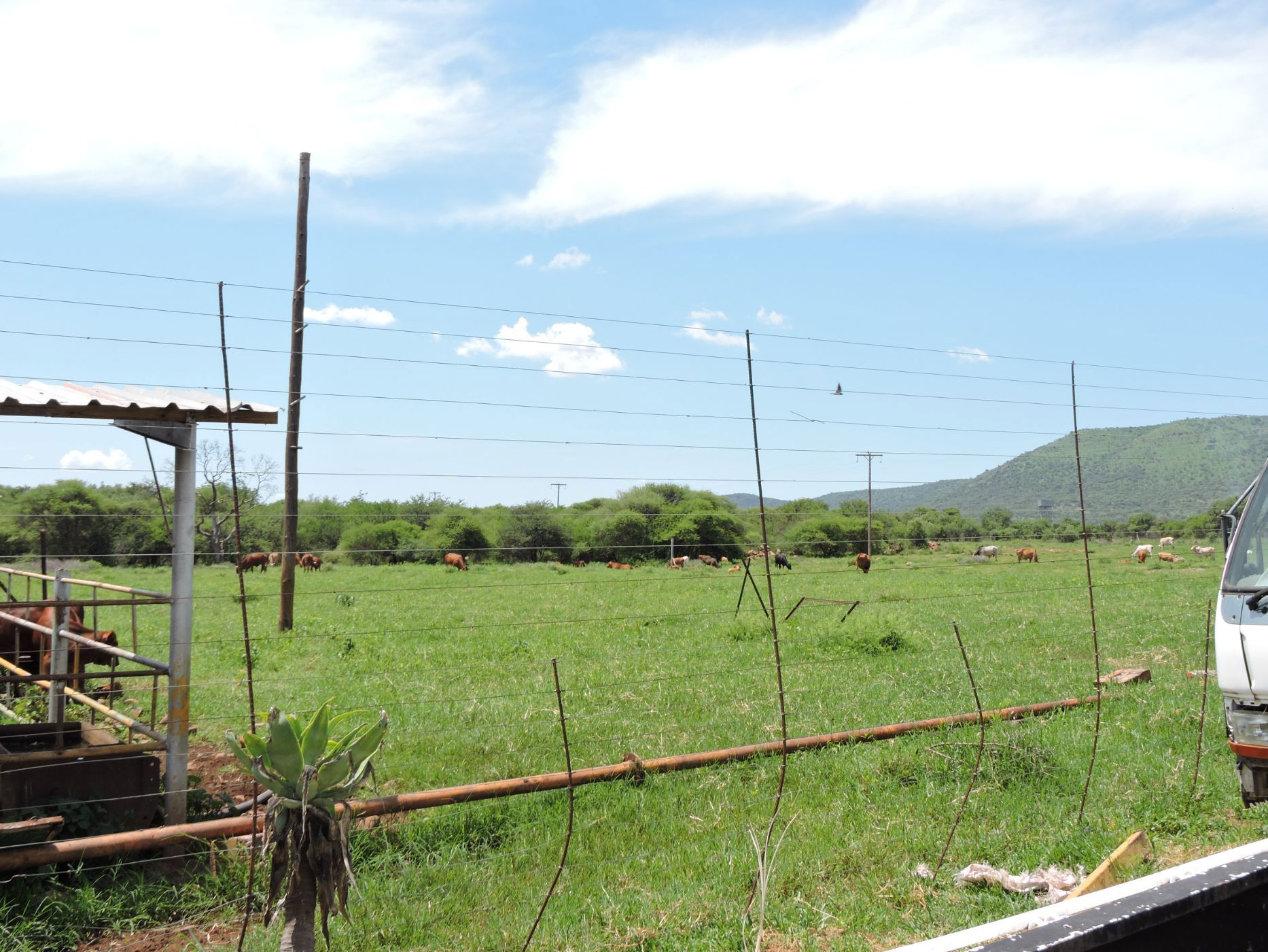Game farm for sale in Groot Marico - 1RU1696936