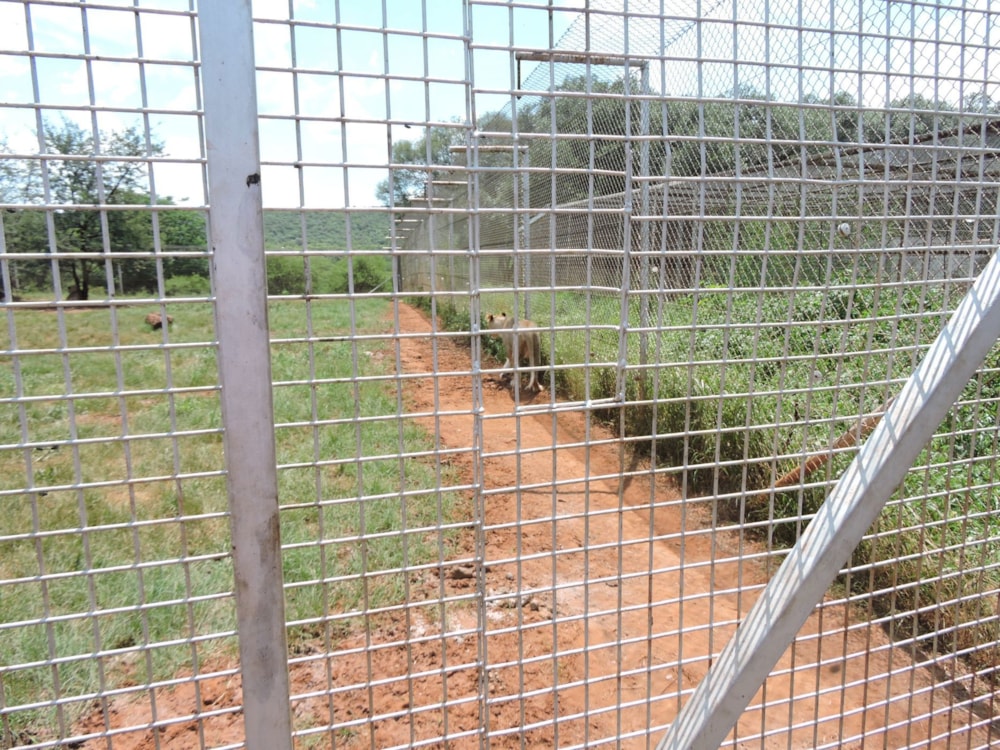 Game farm for sale in Groot Marico - 1RU1696936 Game farm for sale in Groot Marico - 1RU1696936