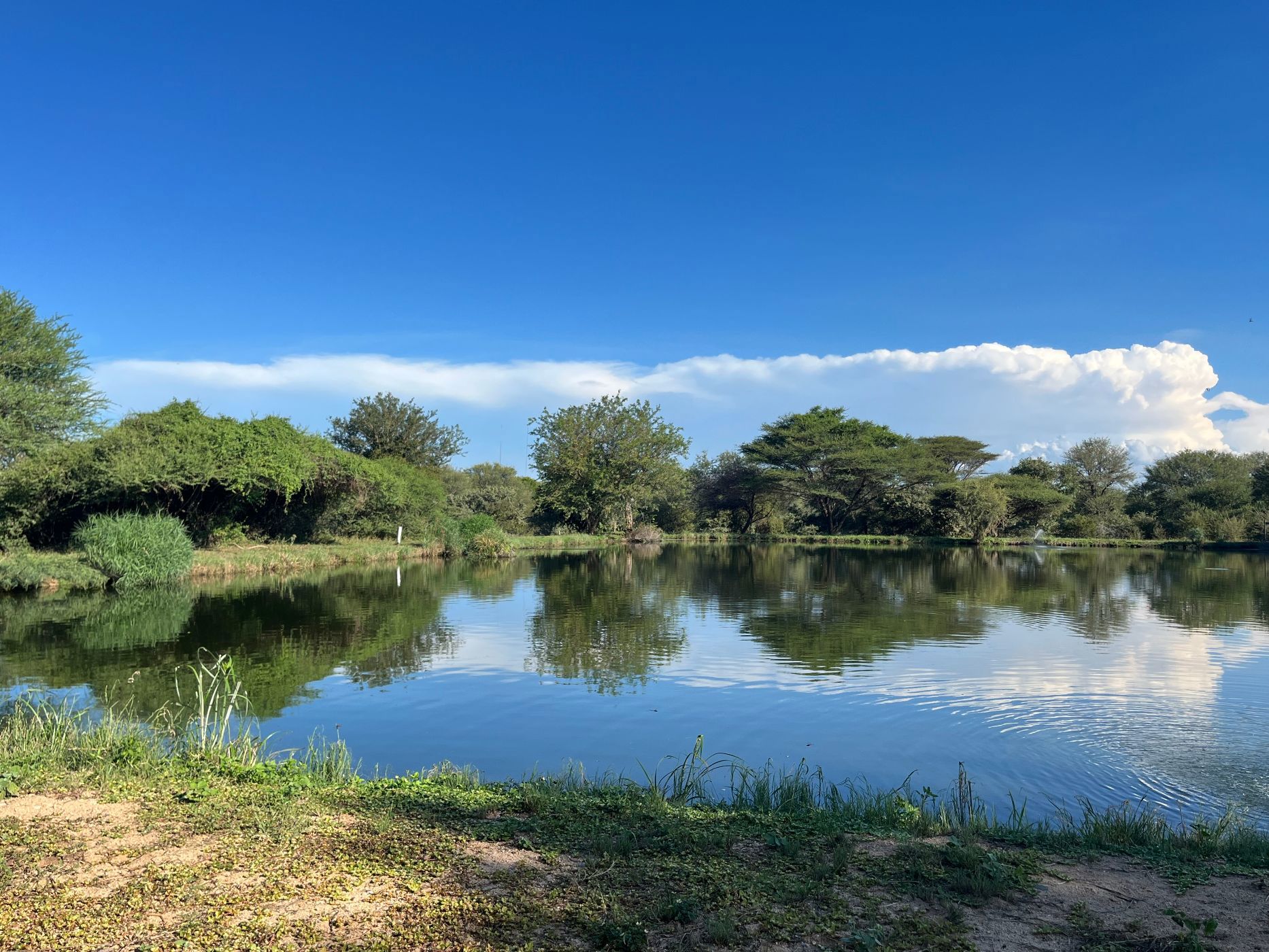 Vacant land for sale in Hoedspruit Wildlife Estate - 1HS1697245