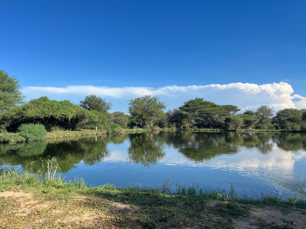 Vacant land for sale in Hoedspruit Wildlife Estate - 1HS1697245