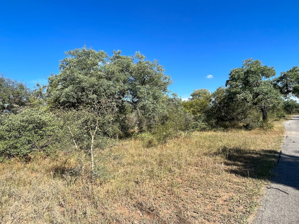 Vacant land for sale in Hoedspruit Wildlife Estate - 1HS1697245