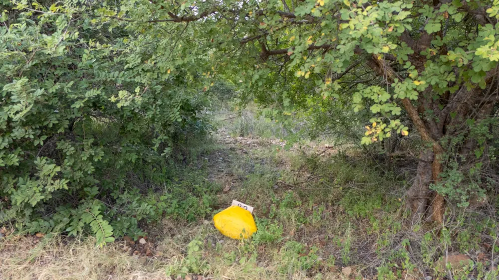 Vacant land for sale in Elephant Rock Eco Estate - 1HS1697254