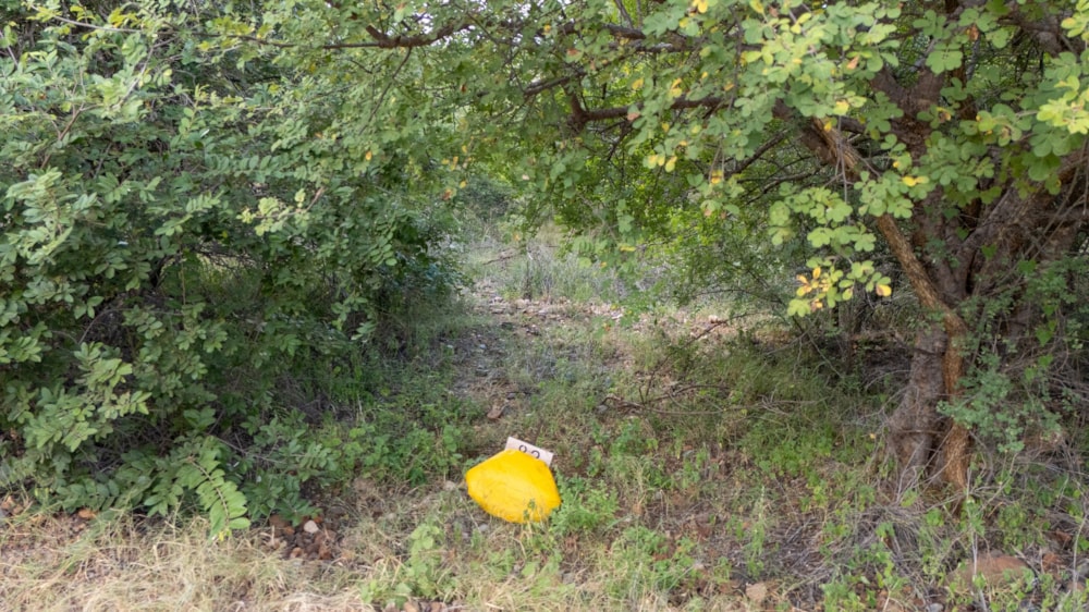 Vacant land for sale in Elephant Rock Eco Estate - 1HS1697254