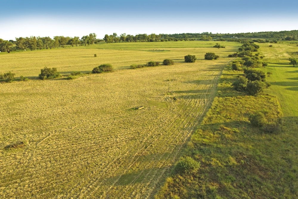 Residential vacant land sold in Monaghan Farm - FW1697385 Residential vacant land sold in Monaghan Farm - FW1697385