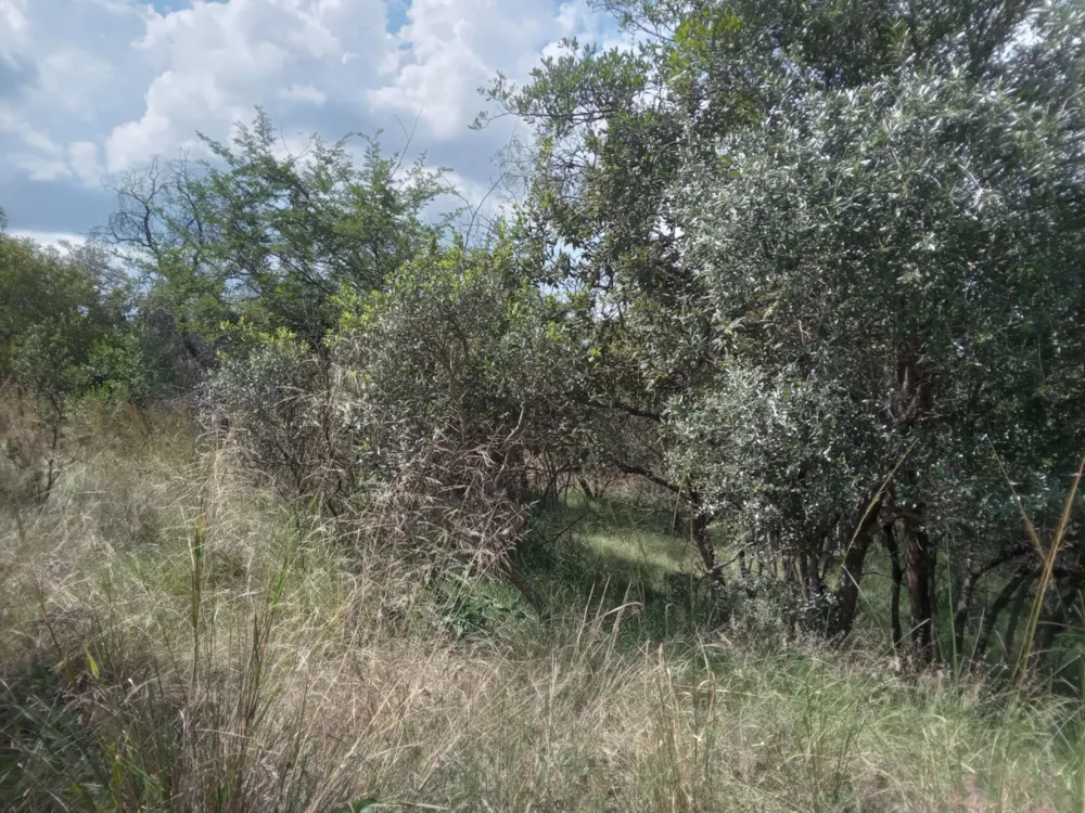 Vacant land for sale in Koro Creek Golf Estate - 1MDM1697538