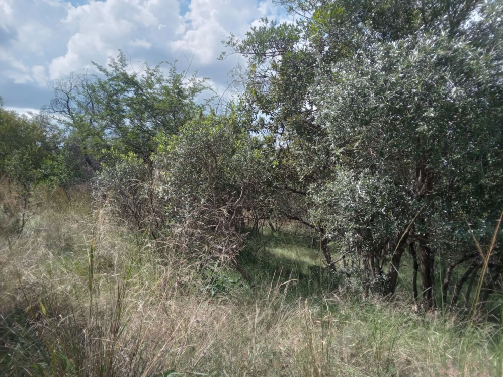 Vacant land for sale in Koro Creek Golf Estate - 1MDM1697538