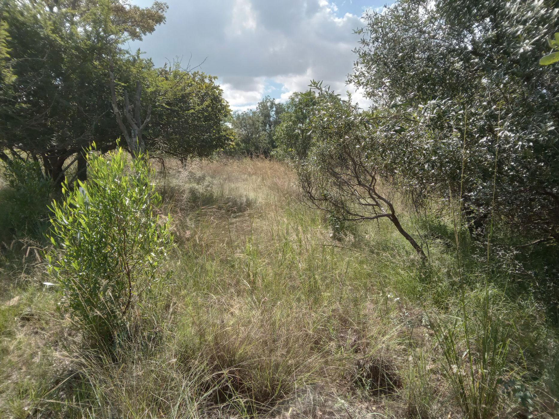 Vacant land for sale in Koro Creek Golf Estate - 1MDM1697538