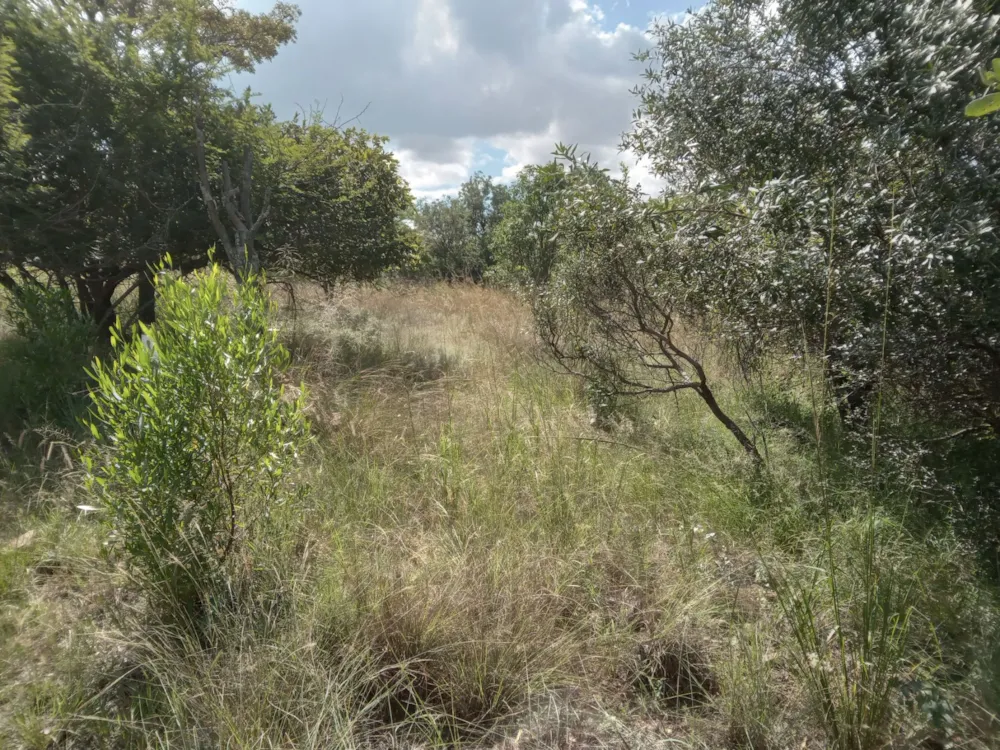Vacant land for sale in Koro Creek Golf Estate - 1MDM1697538