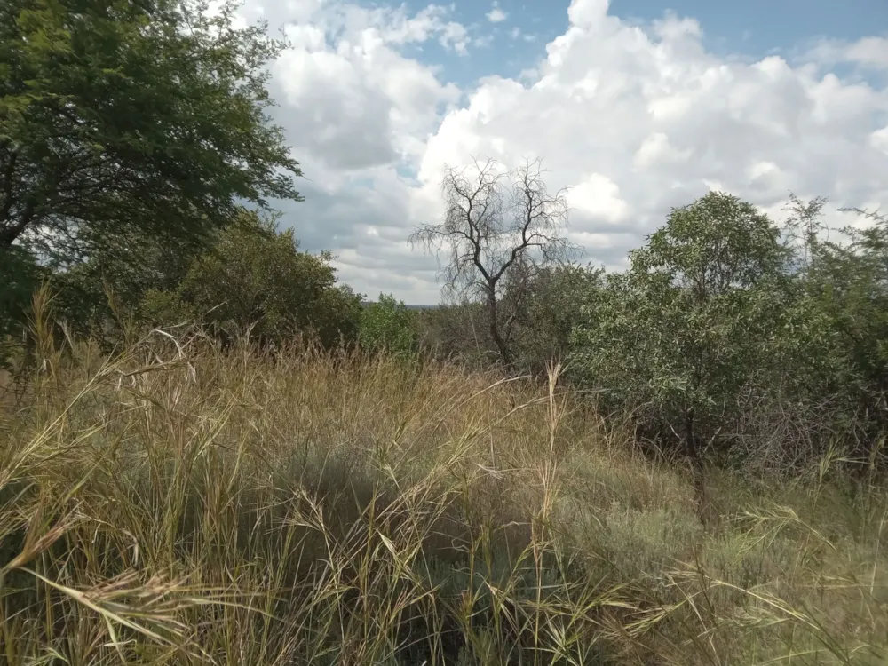 Vacant land for sale in Koro Creek Golf Estate - 1MDM1697538