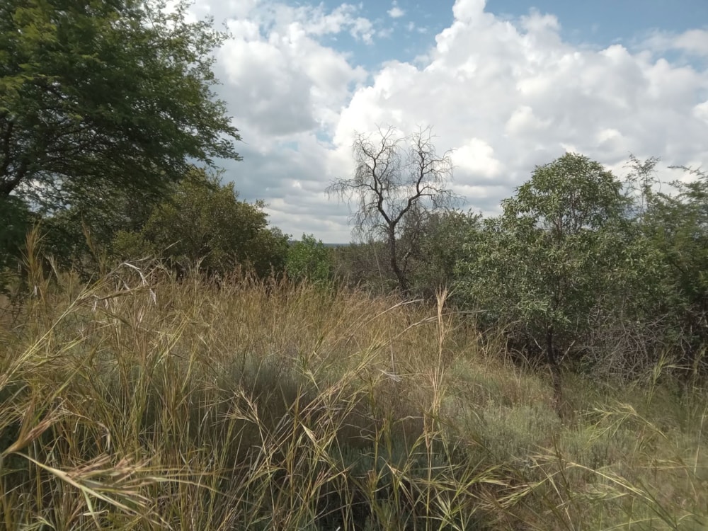 Vacant land for sale in Koro Creek Golf Estate - 1MDM1697538