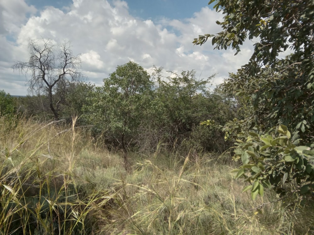 Vacant land for sale in Koro Creek Golf Estate - 1MDM1697538