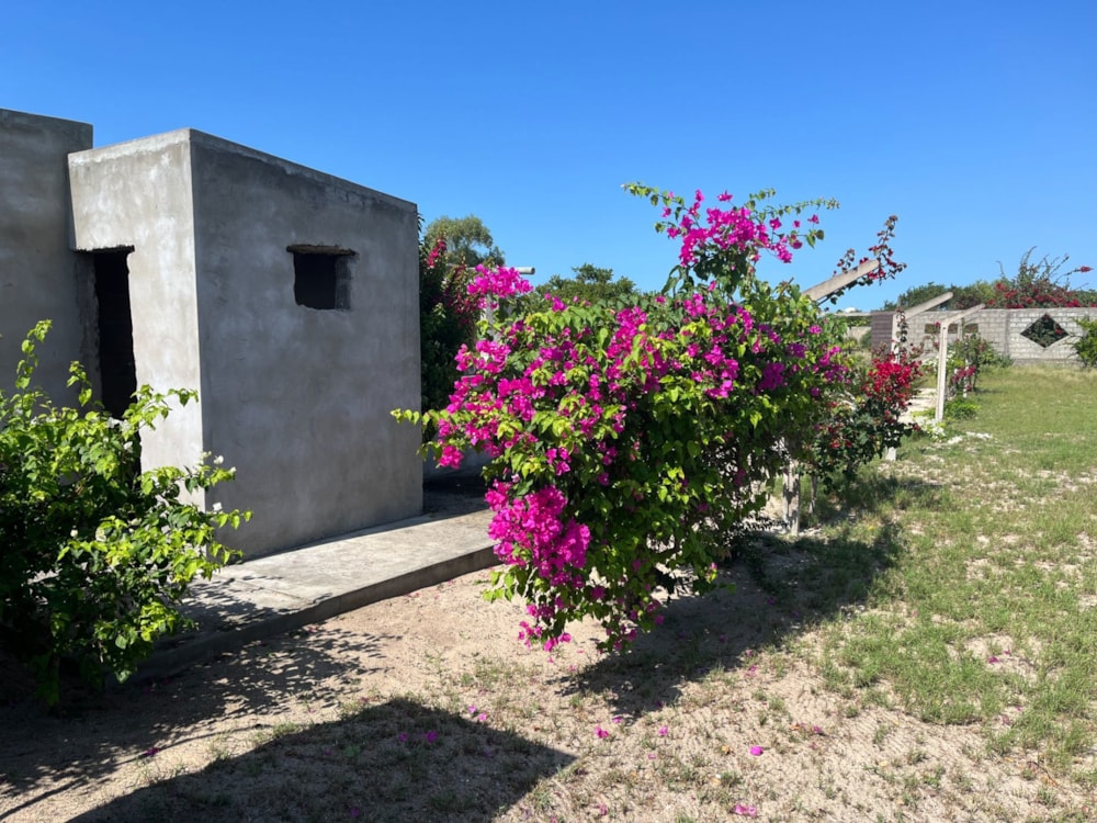 Garden cottage for sale in Praia de Macaneta, Mozambique - 3MQ1697593 Garden cottage for sale in Praia de Macaneta, Mozambique - 3MQ1697593