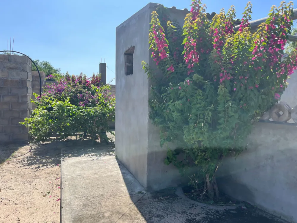 Garden cottage for sale in Praia de Macaneta, Mozambique - 3MQ1697593 Garden cottage for sale in Praia de Macaneta, Mozambique - 3MQ1697593