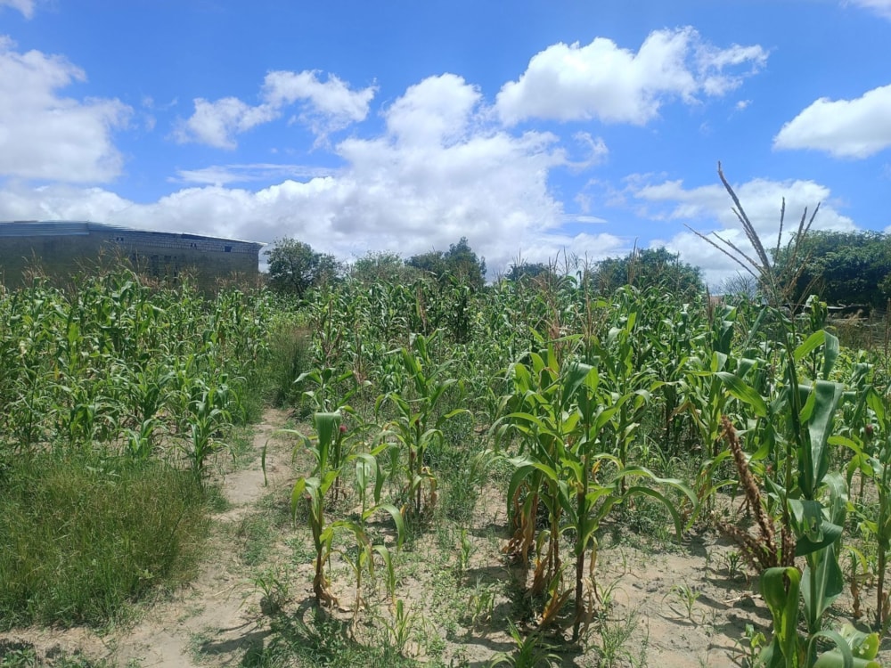 Residential vacant land for sale in Ruwa, Zimbabwe - 3ZB1697715