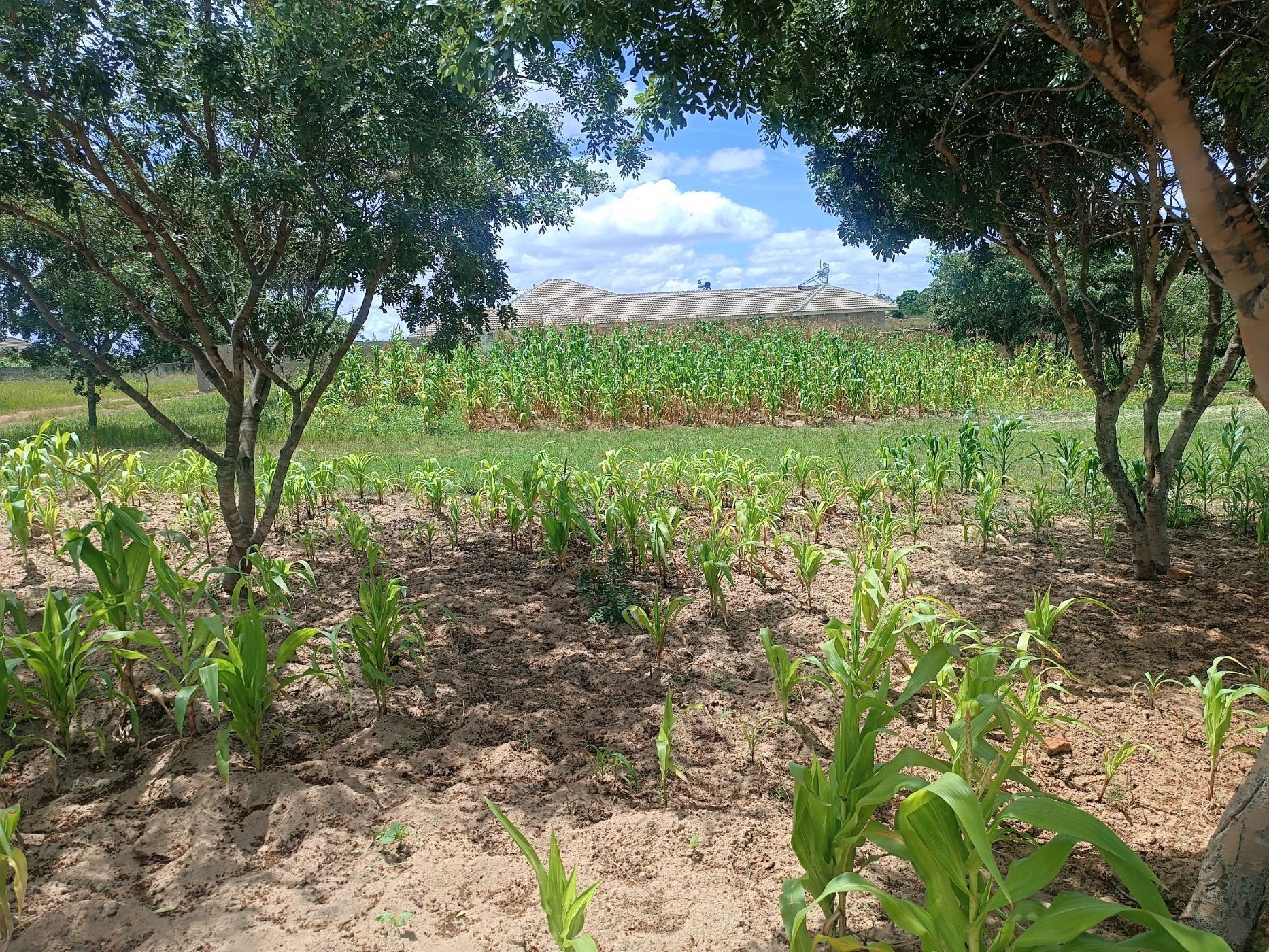 Residential vacant land for sale in Ruwa, Zimbabwe - 3ZB1697715