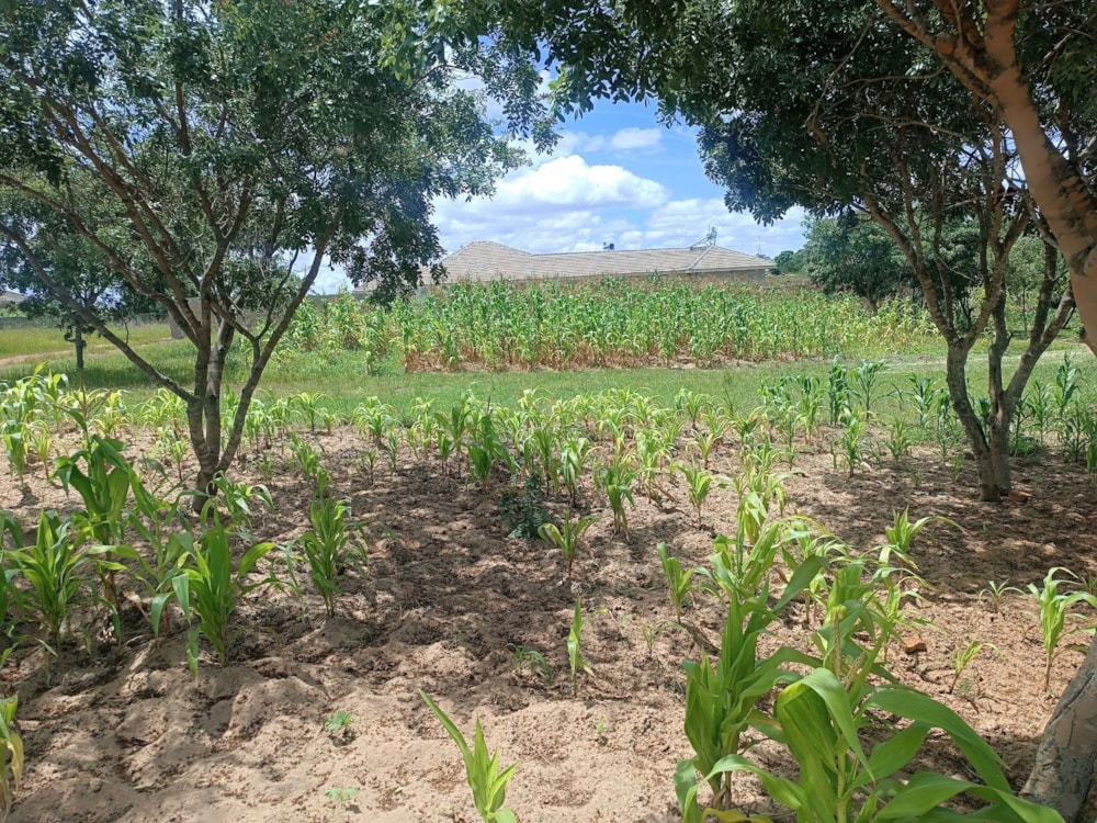 Residential vacant land for sale in Ruwa, Zimbabwe - 3ZB1697715