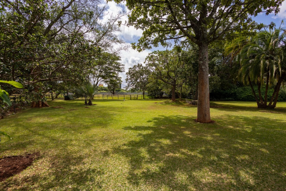 Commercial office sold in Borrowdale, Zimbabwe - 3ZB1697747 Commercial office sold in Borrowdale, Zimbabwe - 3ZB1697747