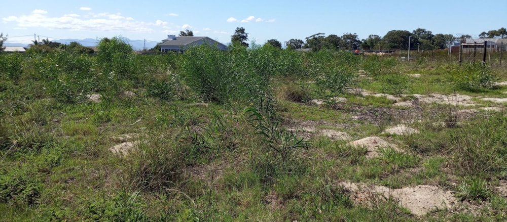 Residential vacant land for sale in Albertinia - 1SR1698110