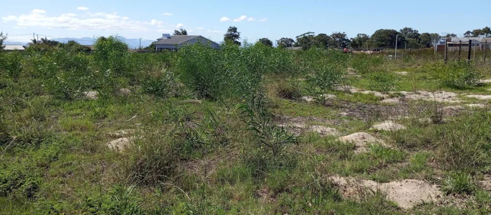Residential vacant land for sale in Albertinia - 1SR1698110 Residential vacant land for sale in Albertinia - 1SR1698110