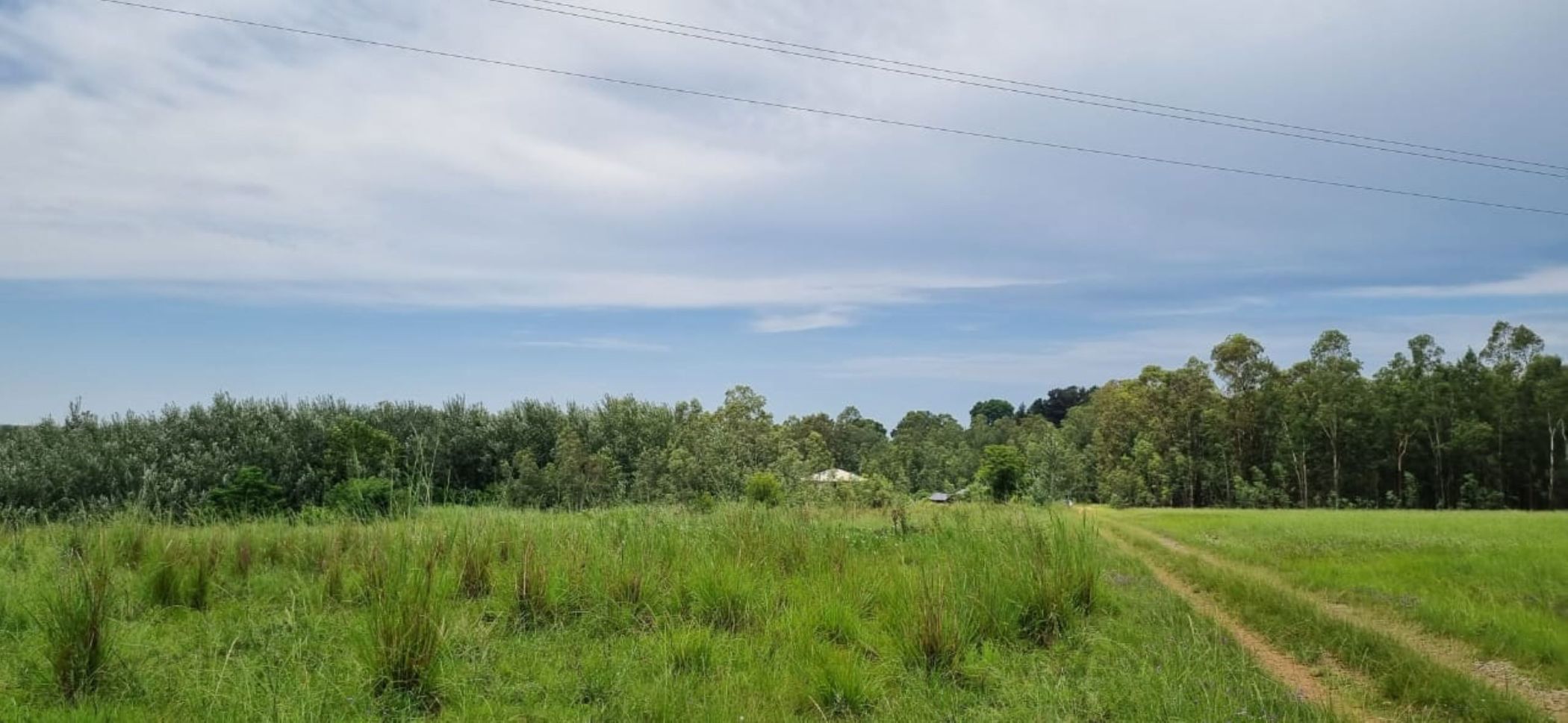 Smallholding sold in Winterton, KwaZulu-Natal - 1PM1697821