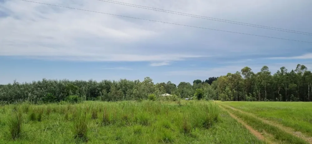Smallholding sold in Winterton, KwaZulu-Natal - 1PM1697821 Smallholding sold in Winterton, KwaZulu-Natal - 1PM1697821