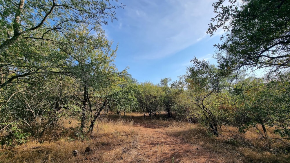 Vacant land for sale in Leopard Rock, Hoedspruit - 1HS1698976 Vacant land for sale in Leopard Rock, Hoedspruit - 1HS1698976