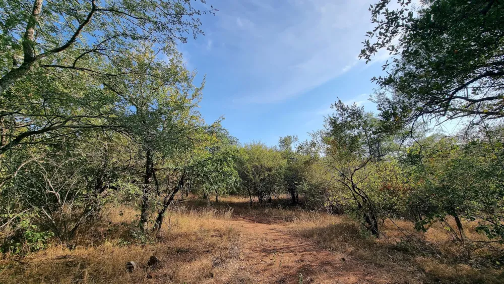Vacant land sold in Leopard Rock, Hoedspruit - 1HS1698976 Vacant land sold in Leopard Rock, Hoedspruit - 1HS1698976