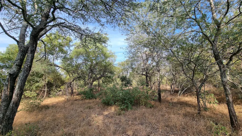Vacant land sold in Leopard Rock, Hoedspruit - 1HS1698976 Vacant land sold in Leopard Rock, Hoedspruit - 1HS1698976