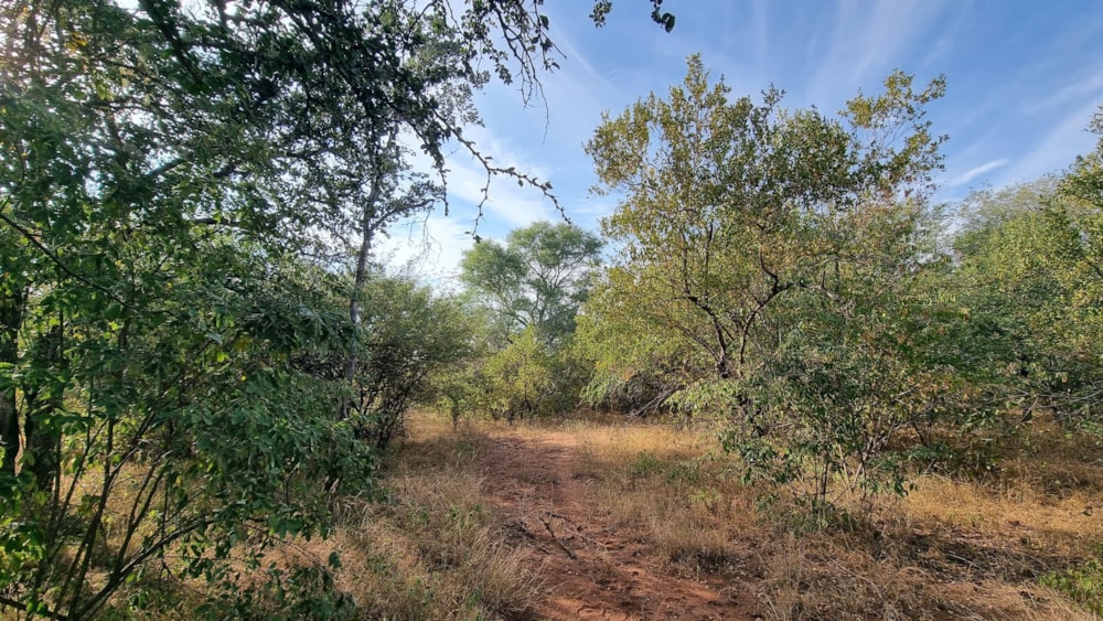 Vacant land for sale in Leopard Rock, Hoedspruit - 1HS1698976 Vacant land for sale in Leopard Rock, Hoedspruit - 1HS1698976