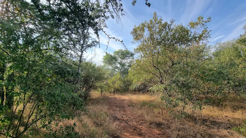 Vacant land sold in Leopard Rock, Hoedspruit - 1HS1698976 Vacant land sold in Leopard Rock, Hoedspruit - 1HS1698976
