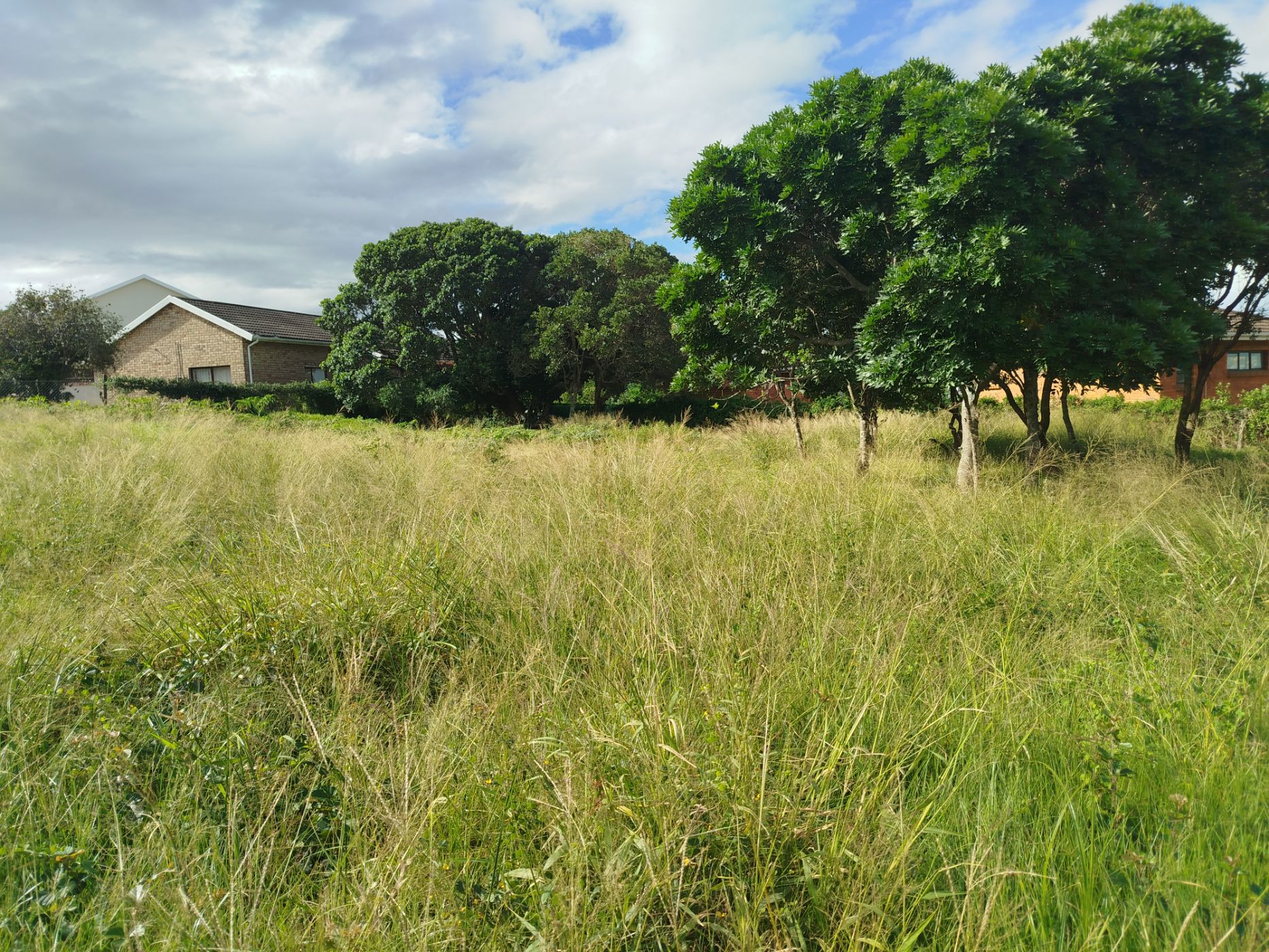 Vacant land for sale in Kleinemonde - 1PF1698337