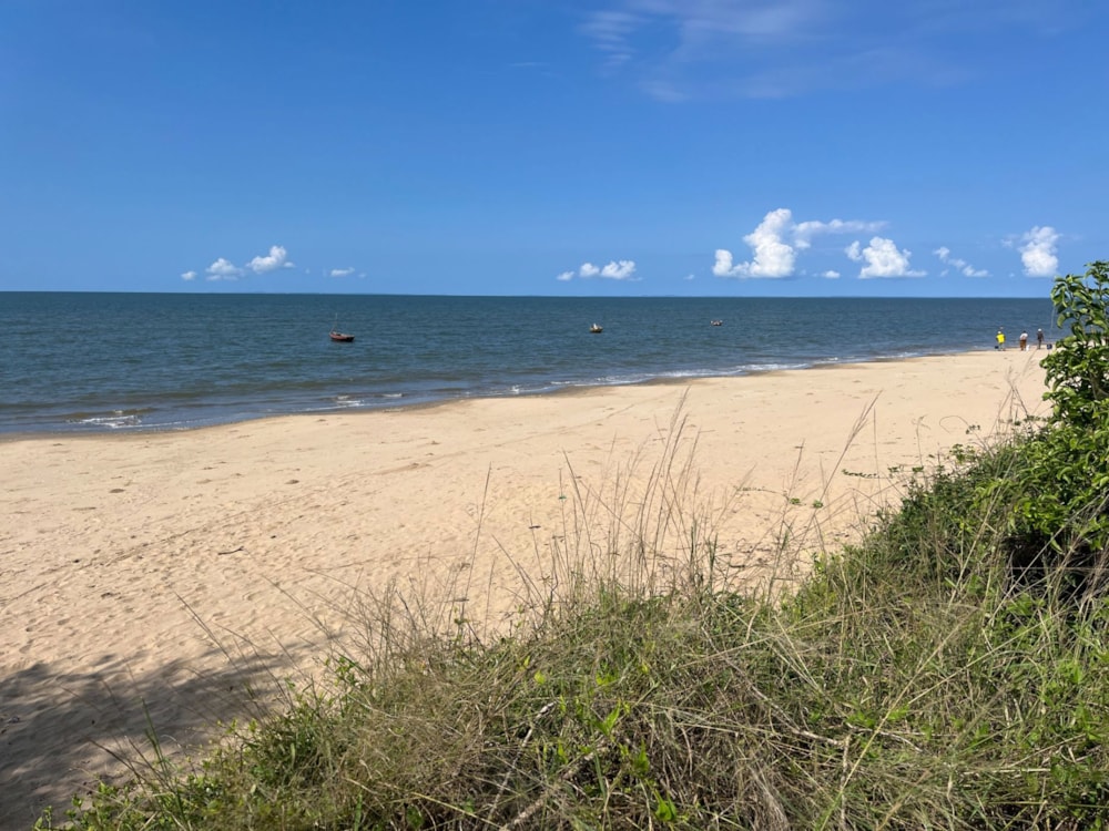 Vacant land for investment in Catembe, Mozambique - 3MQ1698229 Vacant land for investment in Catembe, Mozambique - 3MQ1698229