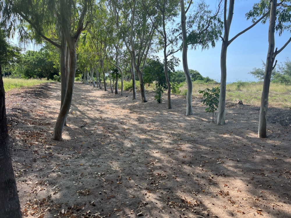 Vacant land for investment in Catembe, Mozambique - 3MQ1698229 Vacant land for investment in Catembe, Mozambique - 3MQ1698229