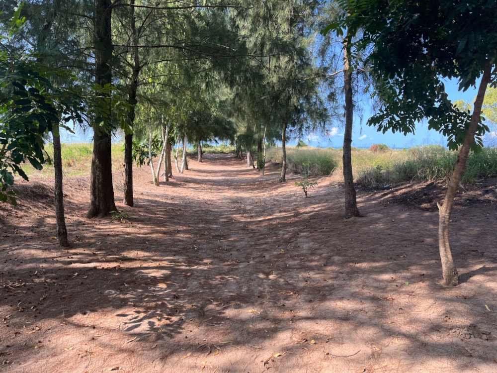 Vacant land for investment in Catembe, Mozambique - 3MQ1698229 Vacant land for investment in Catembe, Mozambique - 3MQ1698229