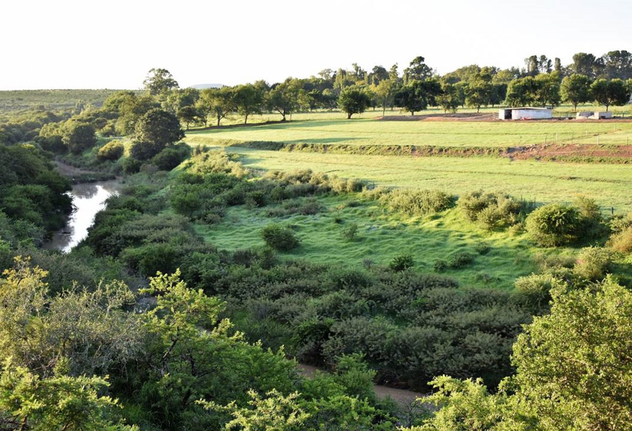 Smallholding for sale in Somerset East - 1KK1698233