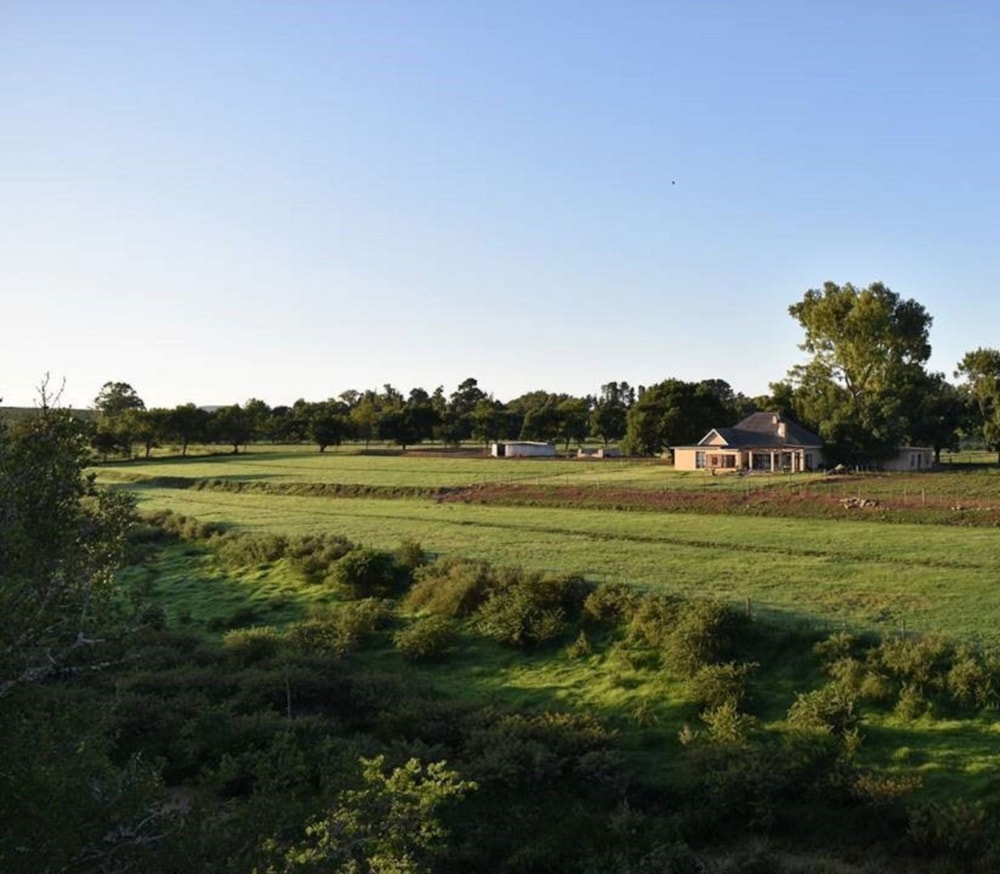 Smallholding for sale in Somerset East - 1KK1698233