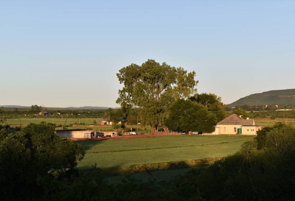 Smallholding for sale in Somerset East - 1KK1698233