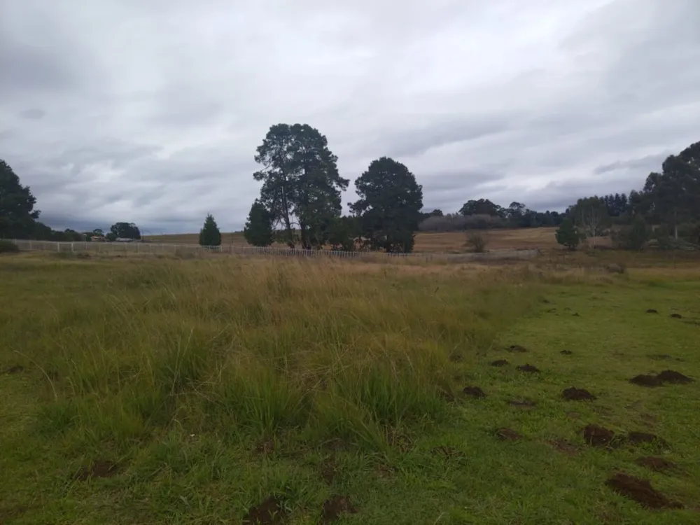 Vacant land for sale in Dullstroom - 1DS1698250 Vacant land for sale in Dullstroom - 1DS1698250