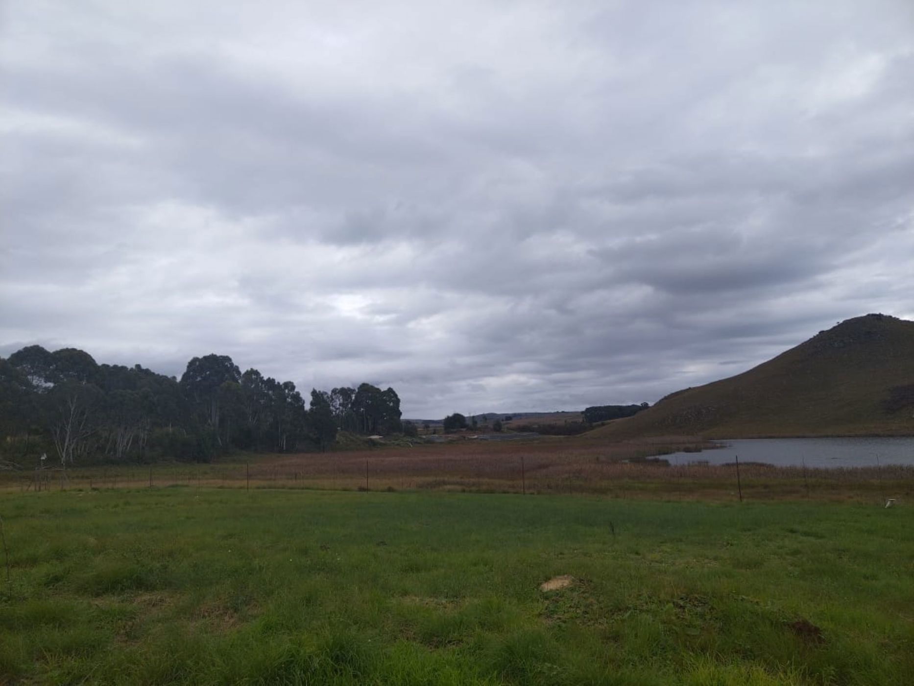 Vacant land for sale in Dullstroom - 1DS1698250