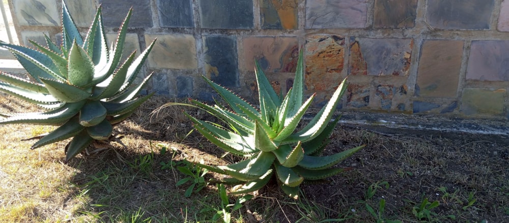 Farm vacant land for sale in Gouritsmond - 1SR1698266