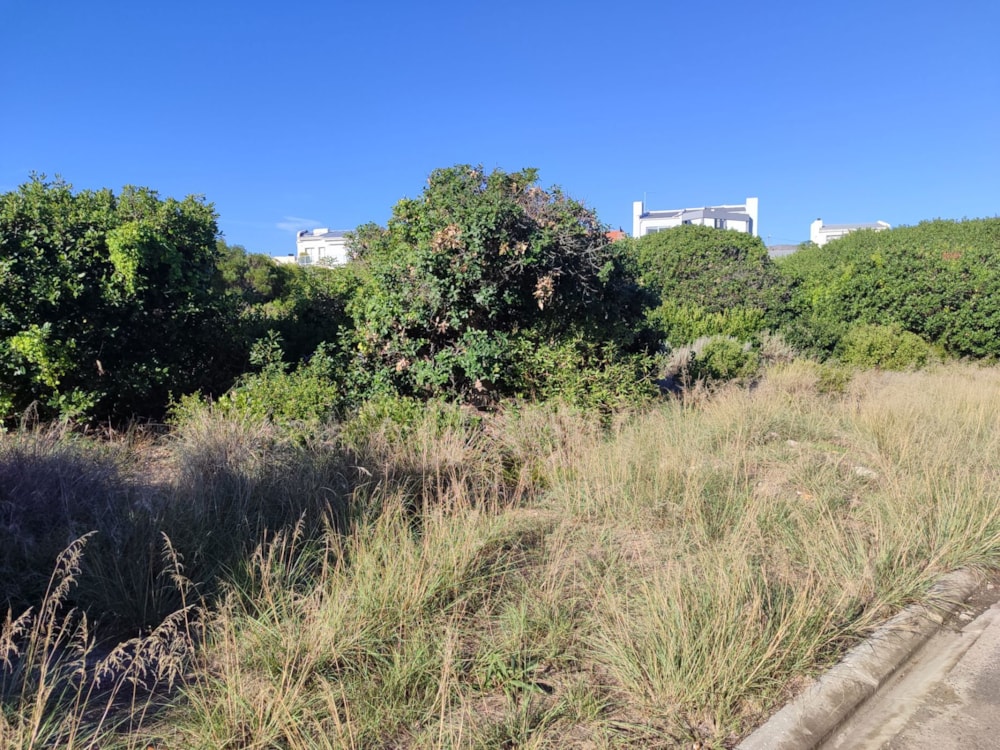 Vacant land for sale in De Kelders - 1SW1698359 Vacant land for sale in De Kelders - 1SW1698359