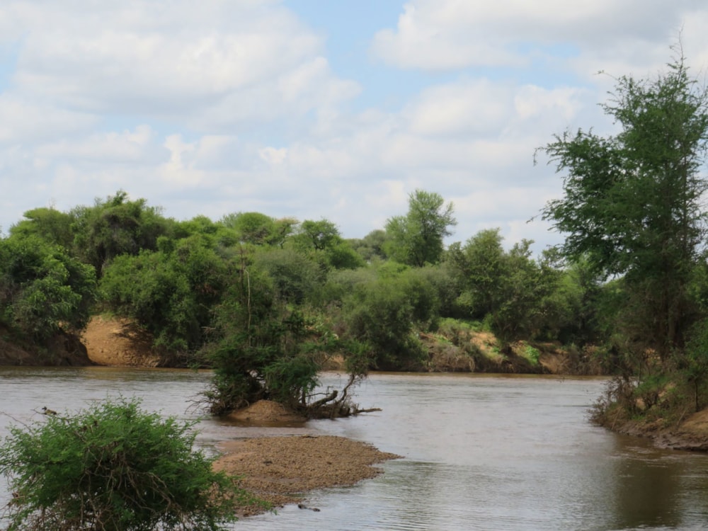 Crop farm for sale in Lephalale Rural - 1ER1698433 Crop farm for sale in Lephalale Rural - 1ER1698433