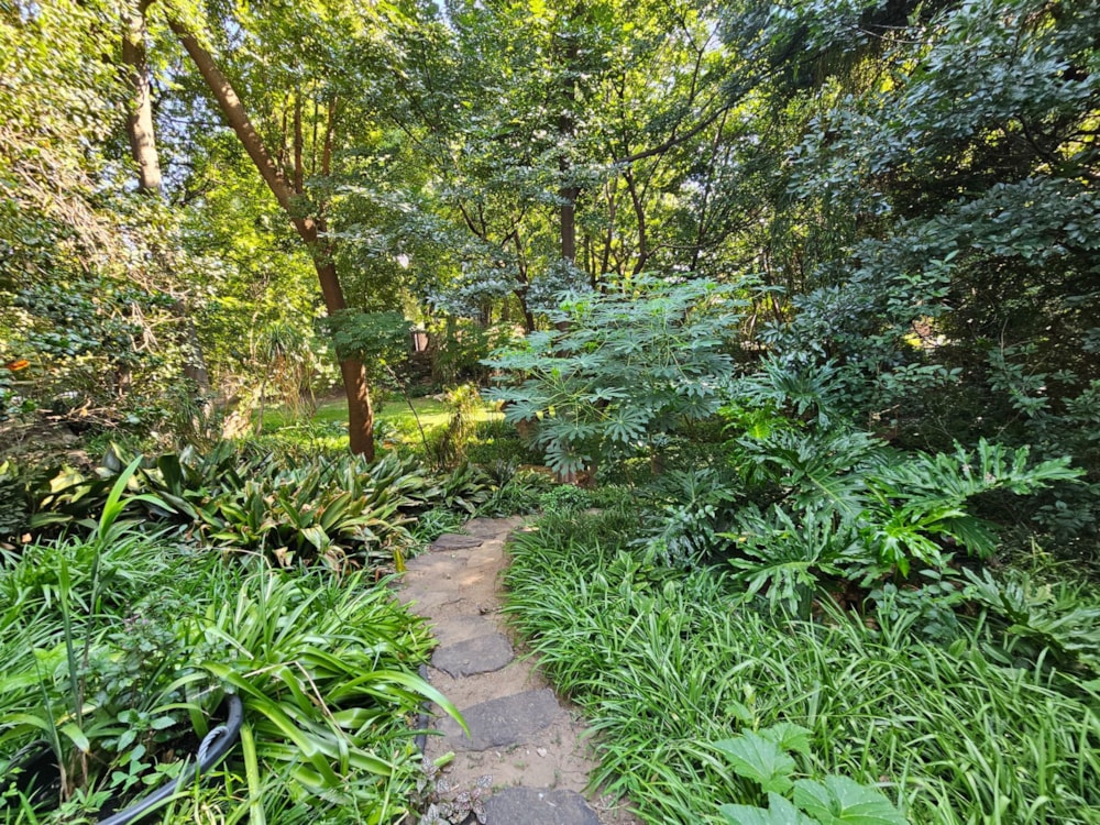 Residential vacant land for sale in Heidelberg, Gauteng - 1SP1698655