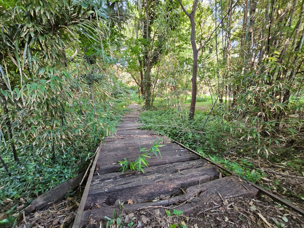 Residential vacant land for sale in Heidelberg, Gauteng - 1SP1698655