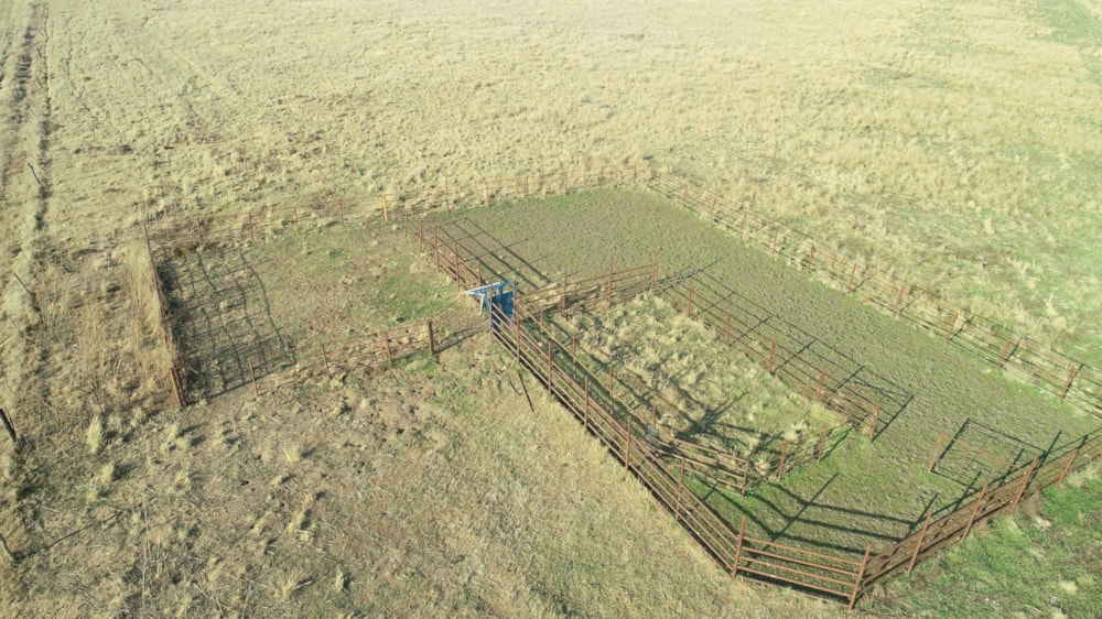 Breeding farm for sale in Cedarville, Eastern Cape - 1UB1698698 Breeding farm for sale in Cedarville, Eastern Cape - 1UB1698698