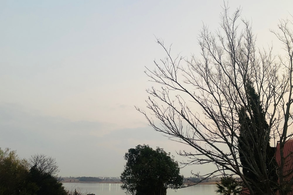 Vacant land for sale in Naaupoort - 1WD1699134